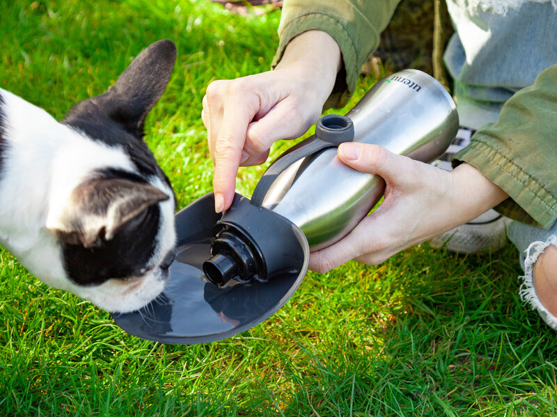 Läs mer om Utenu Vattenflaska för Hund