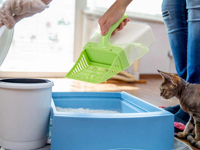 Läs mer om Scoop Up! Kattsandsspade med Behållare
