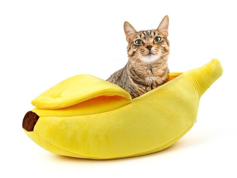 Läs mer om Spralla Banan Kattbädd