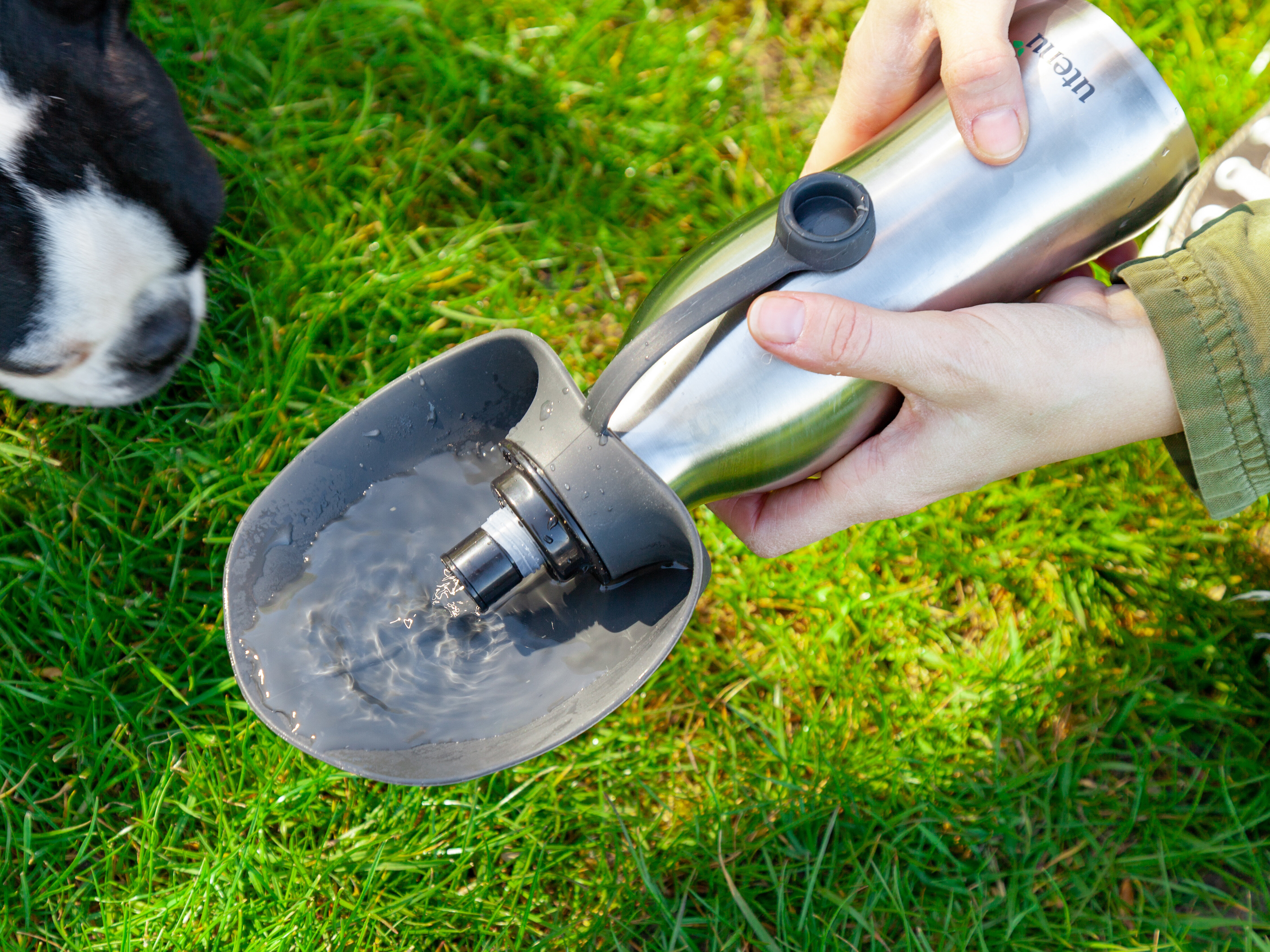 Utenu Vattenflaska för Hund: Släck vovvens törst enkelt! | Coolstuff