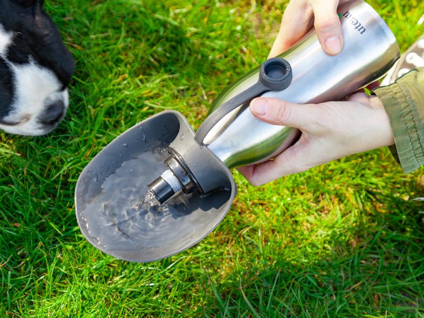Utenu Vattenflaska för Hund: Släck vovvens törst enkelt! | Coolstuff
